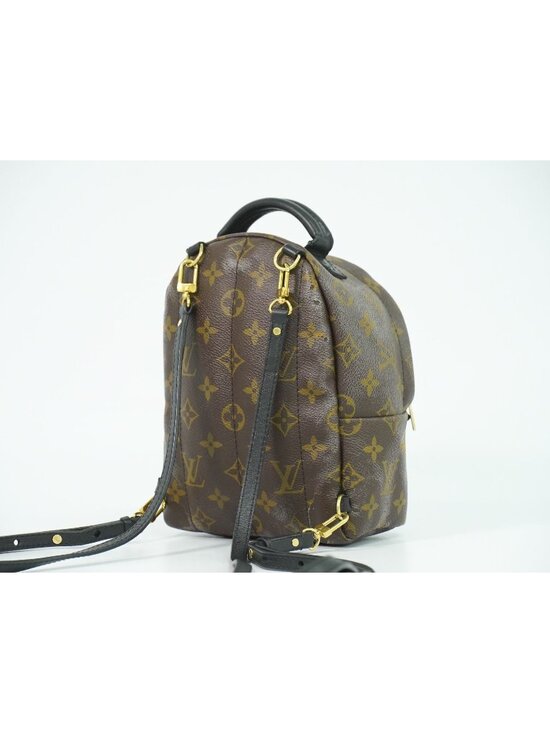 Louis Vuitton LV Palm Springs Backpack Mini Monogram Brown Vintage main image 5